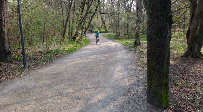 Frühlingswald im Stadtpark, in der Mitte ein Kind auf dem Rennrad.