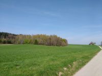 Grüne Wiese vor blauem Himmel mit einem Radweg