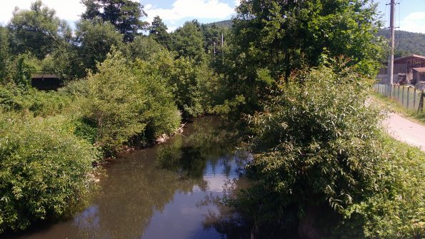 Kleiner Fluss mit Büschen am Ufer